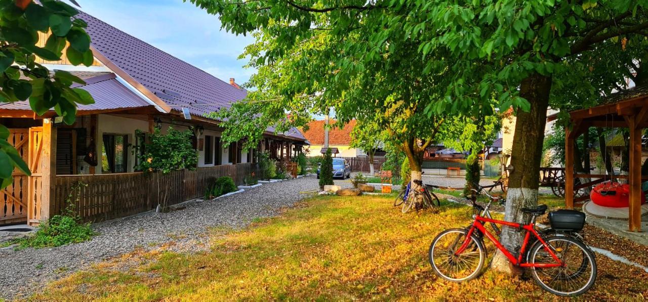 La Romaneasa Сэпынца Экстерьер фото