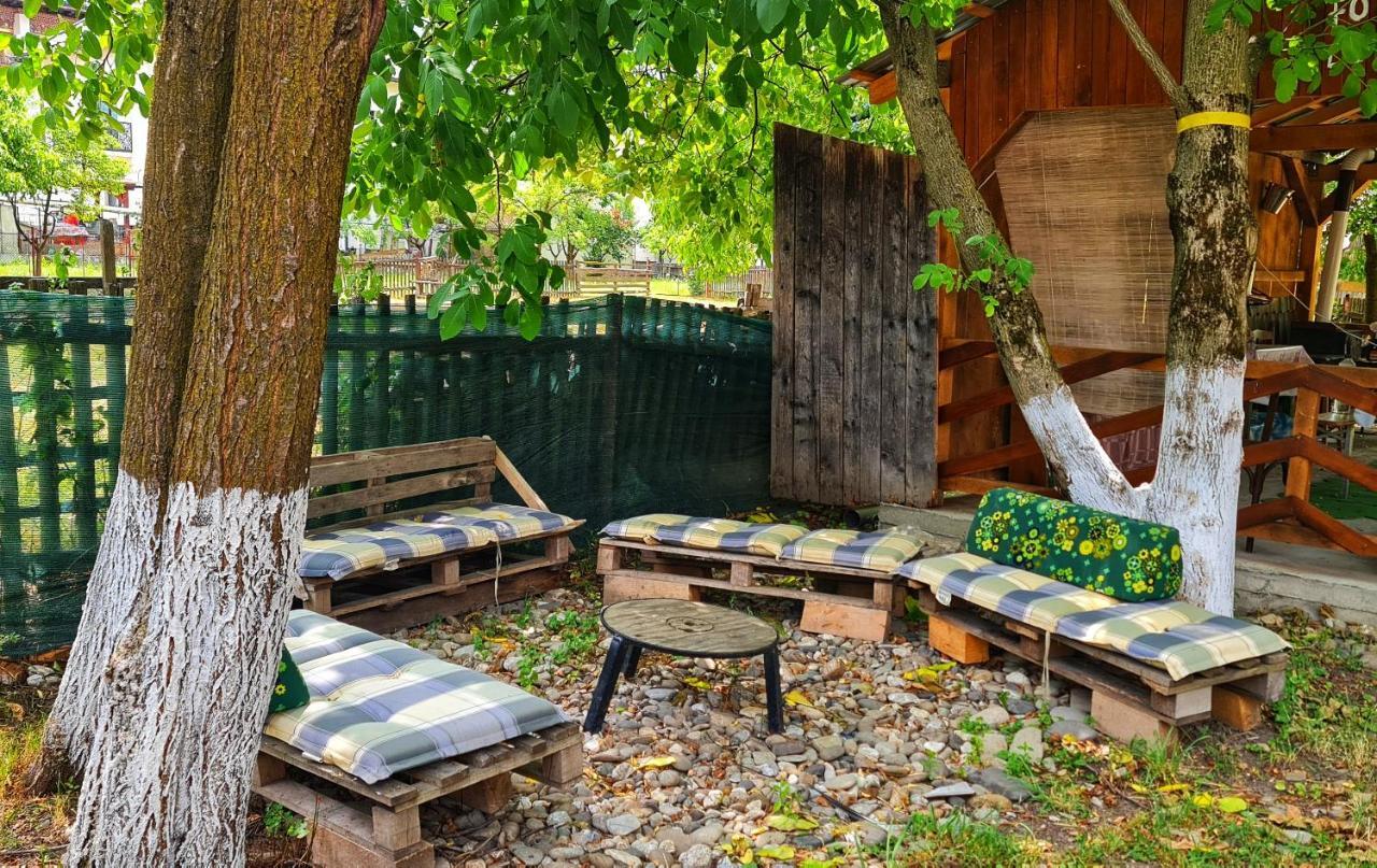 La Romaneasa Сэпынца Экстерьер фото